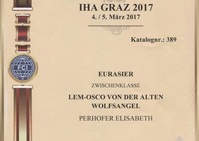 IHA Graz 2017