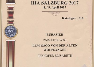 IHA Salzburg 2017